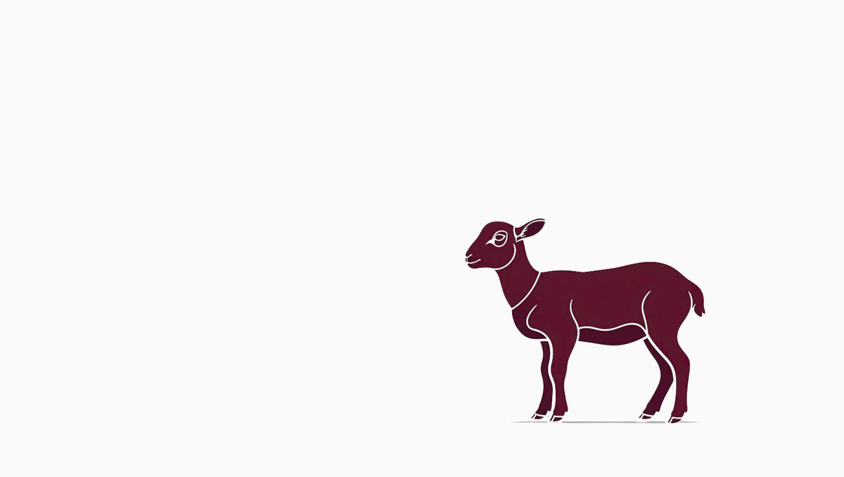 Lamb