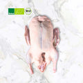 Organic duck