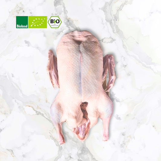 Bio Ente