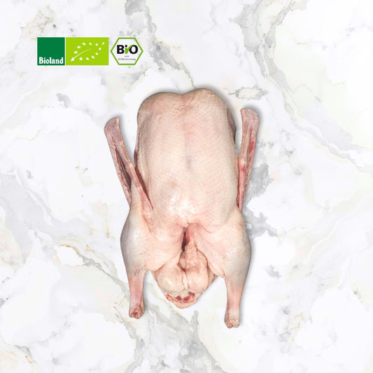 Bio Gans