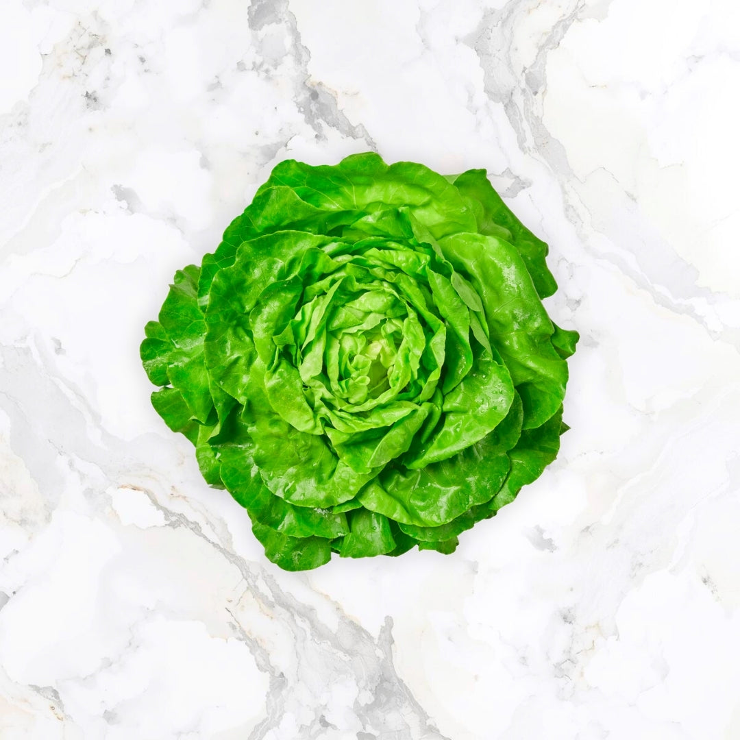 Kopfsalat