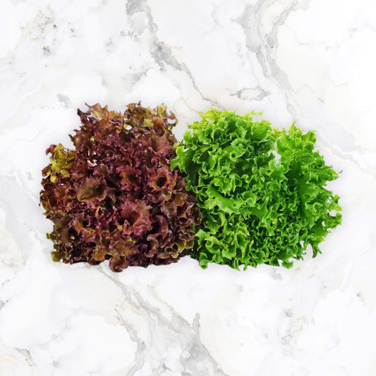 Lollo Salat